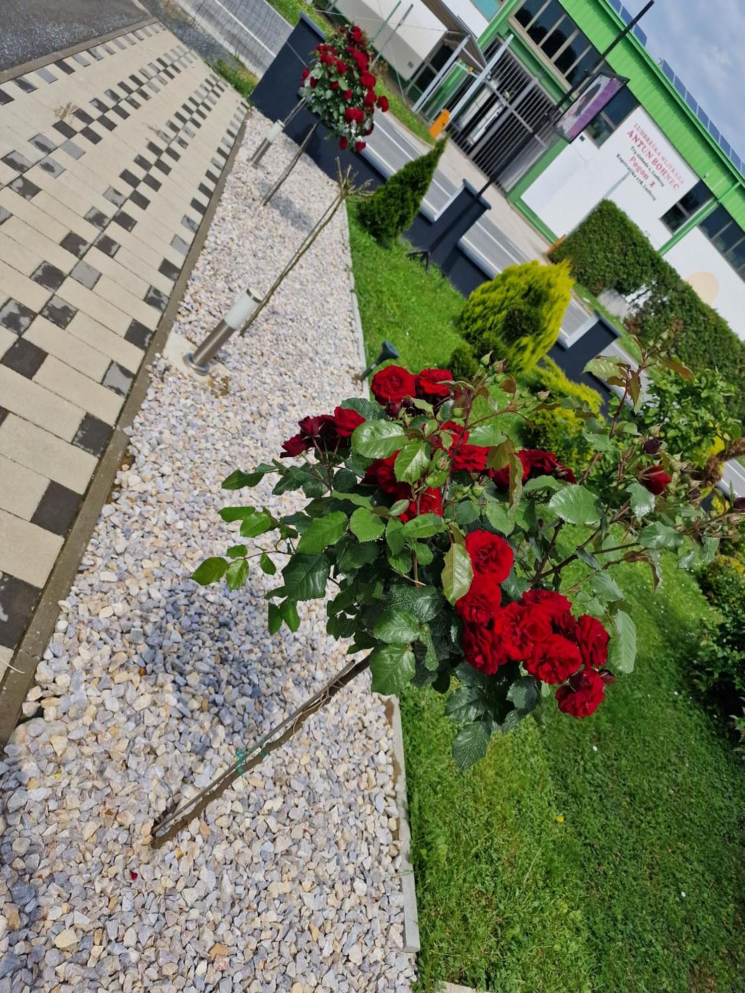 Vanna Apartma *